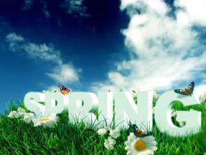 Spring Time